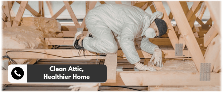 Attic Cleaning Casa Grande AZ